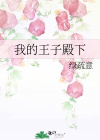 我的王子殿下