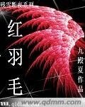 殘雪斷夜系列之紅羽毛