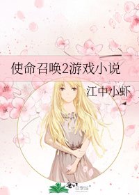 使命召唤2游戏