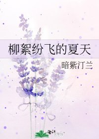 柳絮纷飞的夏天