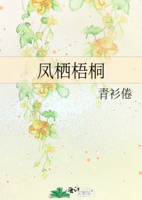 凤栖梧桐