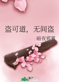 盗可道,无间盗