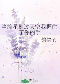 当流星划过天空我握住了你的手