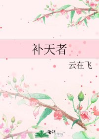 补天者