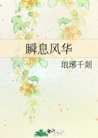 瞬息风华
