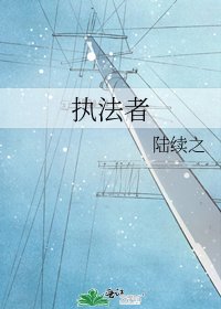 执法者