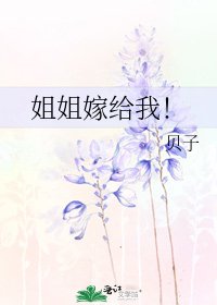 姐姐嫁给我!
