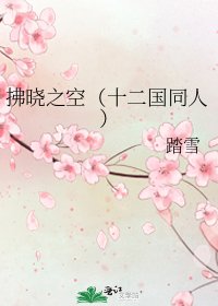 拂曉之空(十二國同人)
