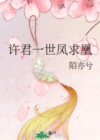 許君一世鳳求凰