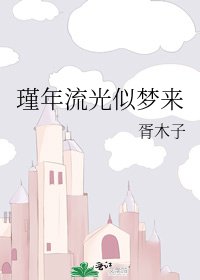 瑾年流光似梦来