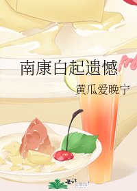 南康白起遺憾