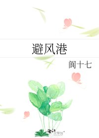 避风港