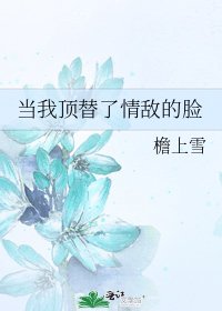 当我顶替了情敌的脸