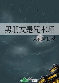 (综同人)男朋友是咒术师