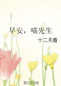 早安,喵先生