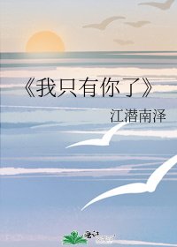 我只有你了