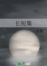 长短集