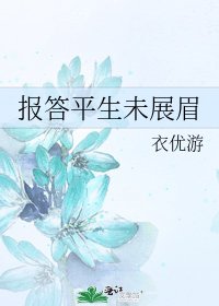 报答平生未展眉