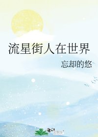 流星街人在世界