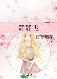 静静飞