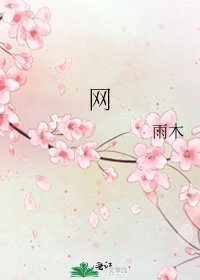 网