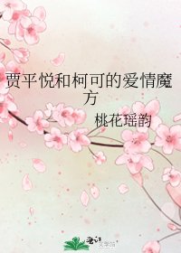 賈平悅和柯可的愛情魔方