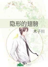 隐形的翅膀