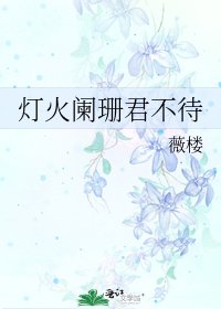 灯火阑珊君不待