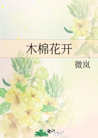 木棉花開
