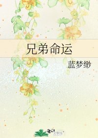 兄弟命運