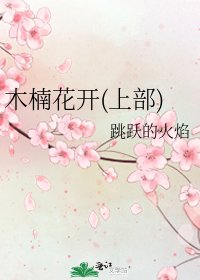 木楠花开(上部)