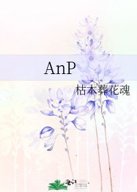 AnP