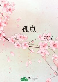 孤岚
