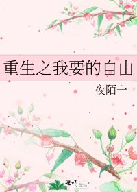 重生之我要的自由