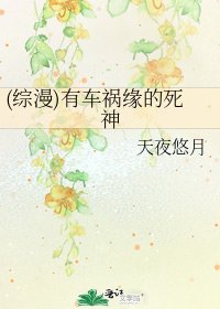 (綜漫)有車禍緣的死神