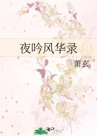 夜吟风华录