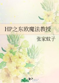 HP之東歐魔法教授