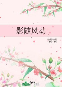 影随风动