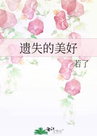 遗失的美好