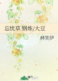 忘忧草 钢炼/大豆