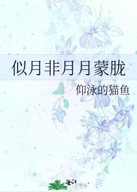 似月非月月蒙朧