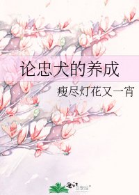 論忠犬的養成