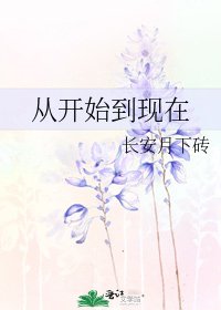 從開始到現在