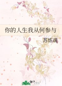 你的人生我从何参与
