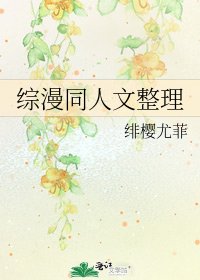 綜漫同人文整理