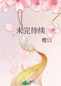 未完待續
