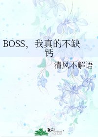 BOSS,我真的不缺钙