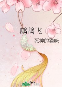 鹧鸪飞