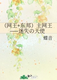 (網王+東邦)主網王——迷失の天使