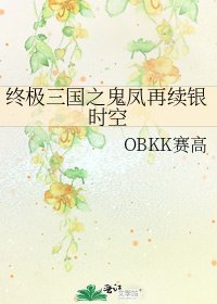 终极三国之鬼凤再续银时空